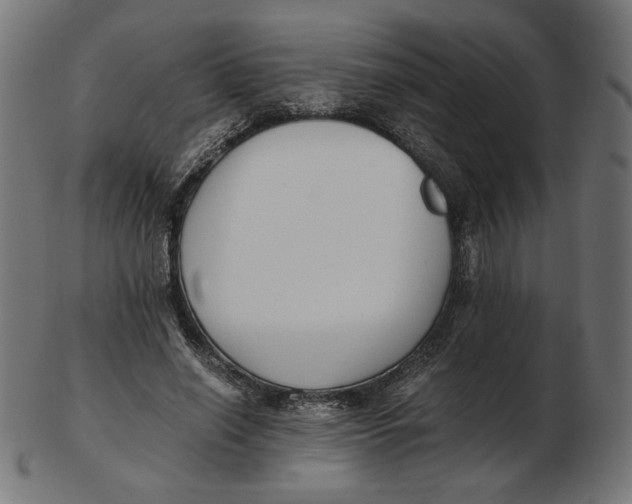 X0000103130638200809121732