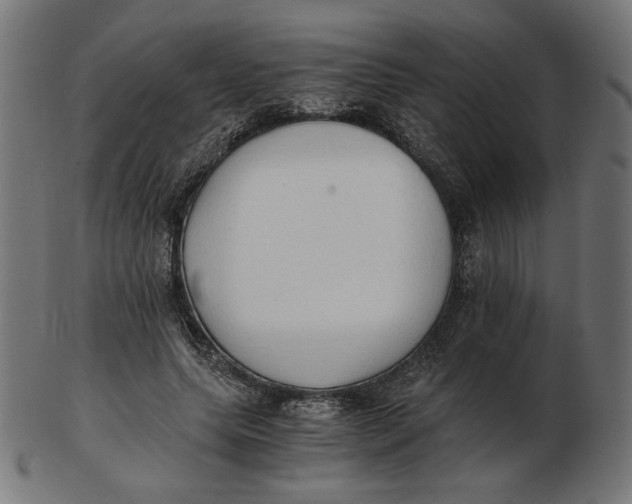 X0000103130639200809121733