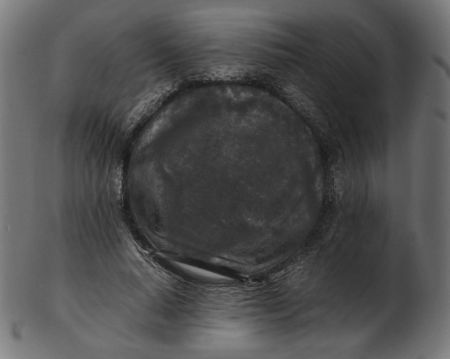 X0000103130640200809121733