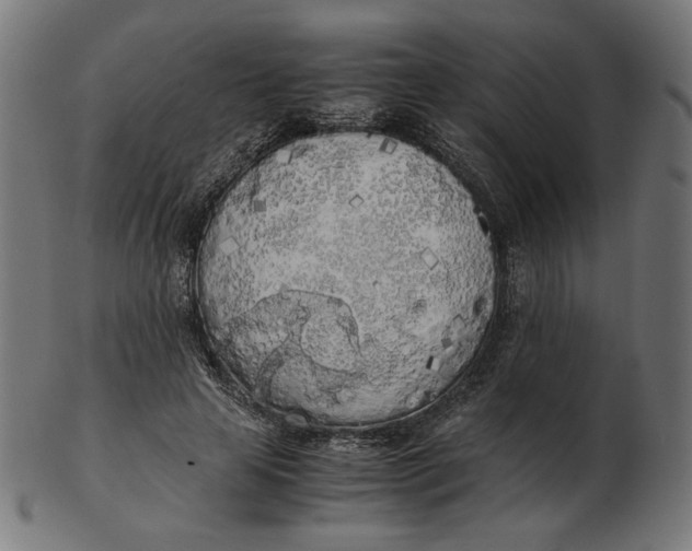 X0000103130641200809121733