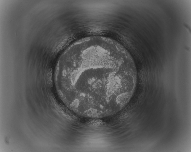 X0000103130642200809121733
