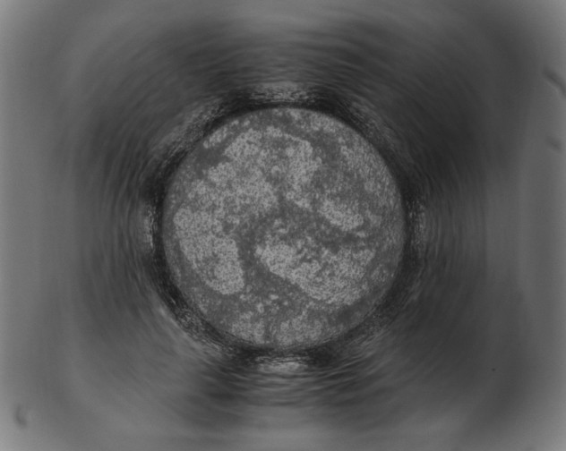 X0000103130643200809121733