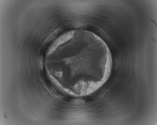 X0000103130644200809121733