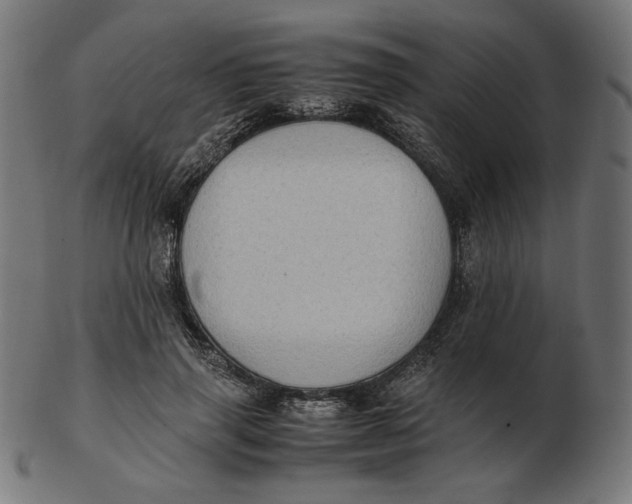 X0000103130645200809121733