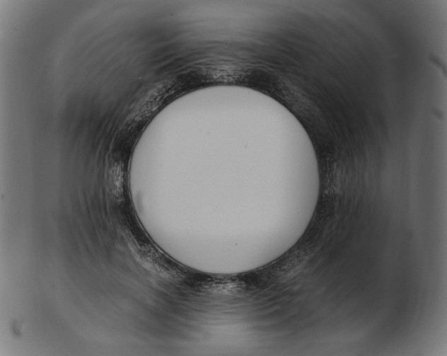 X0000103130646200809121733