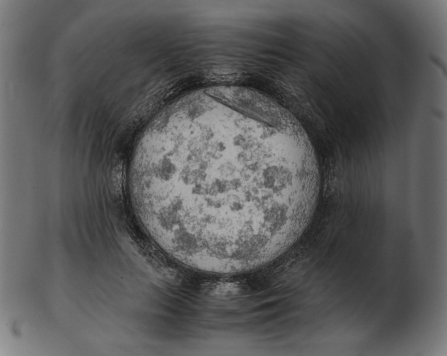 X0000103130647200809121733
