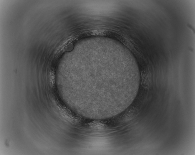 X0000103130648200809121733