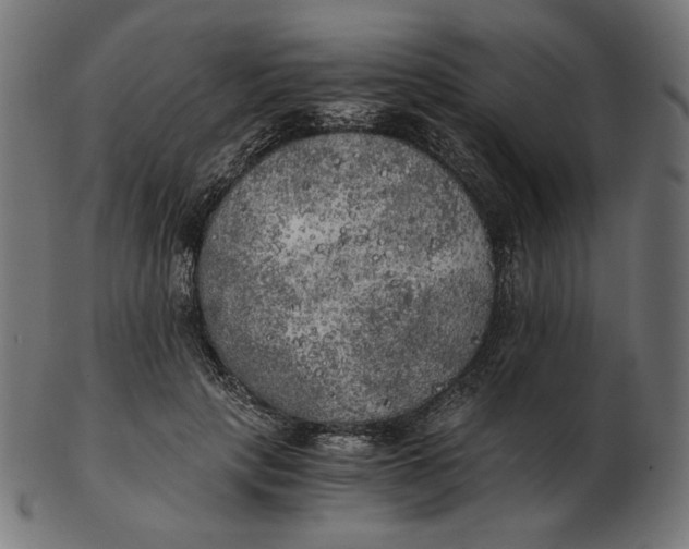 X0000103130649200809121733