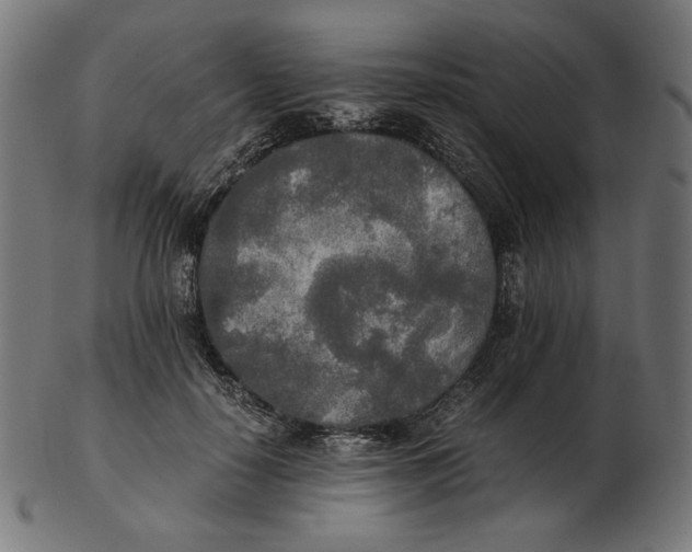 X0000103130650200809121733