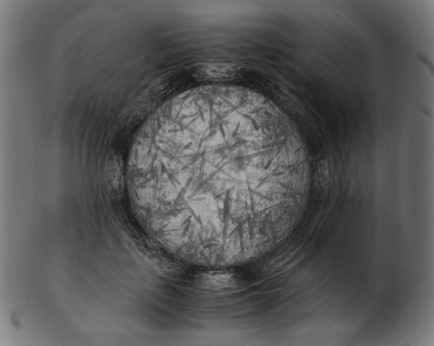 X0000103130651200809121733