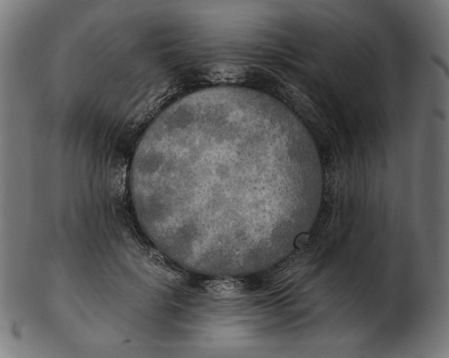 X0000103130652200809121733