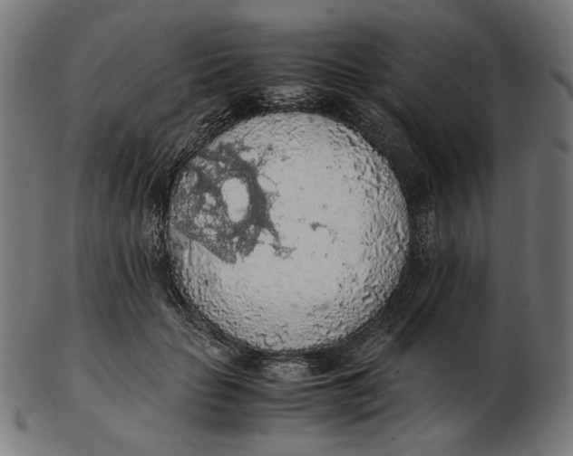 X0000103130653200809121733