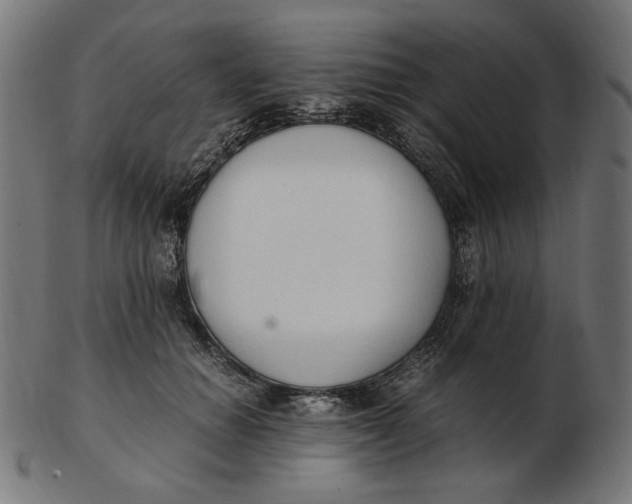 X0000103130654200809121733