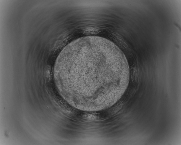 X0000103130655200809121733