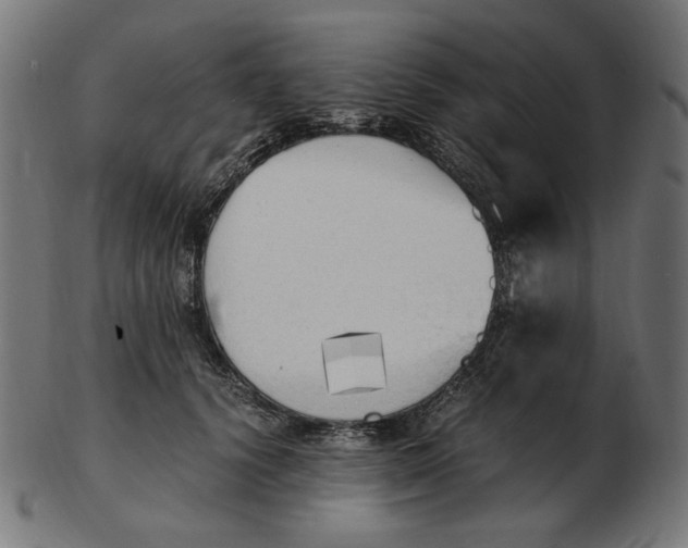 X0000103130656200809121733