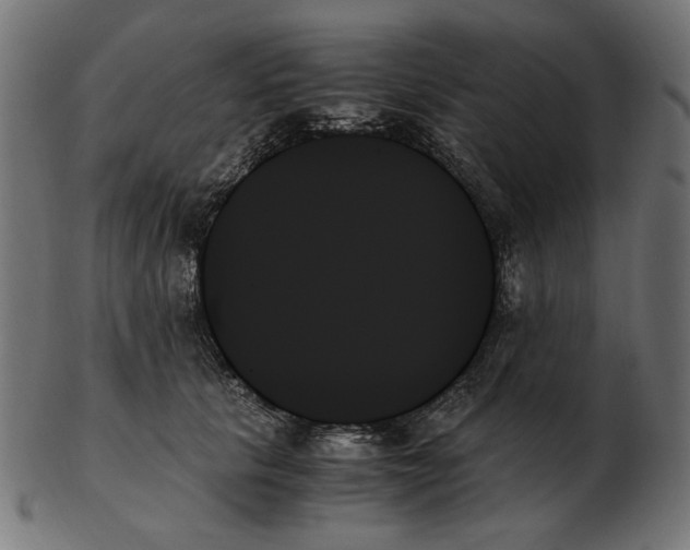 X0000103130657200809121733