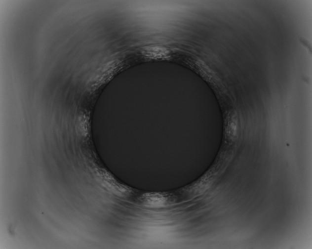 X0000103130658200809121733