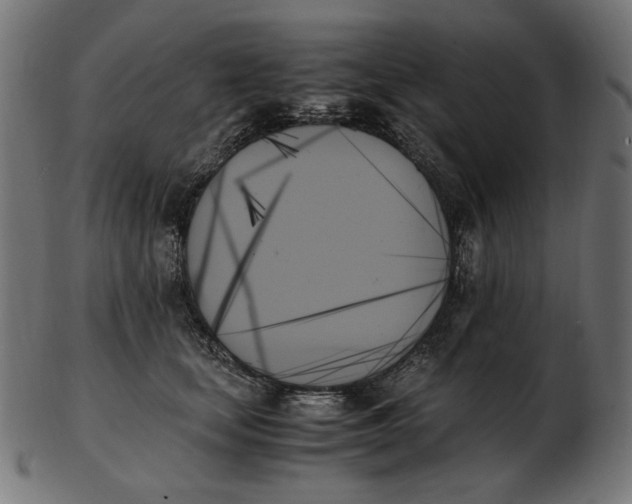 X0000103130659200809121733