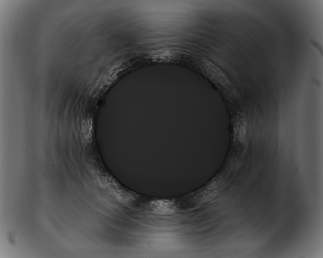 X0000103130660200809121733