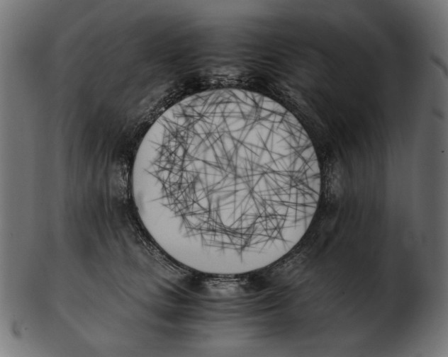 X0000103130661200809121733