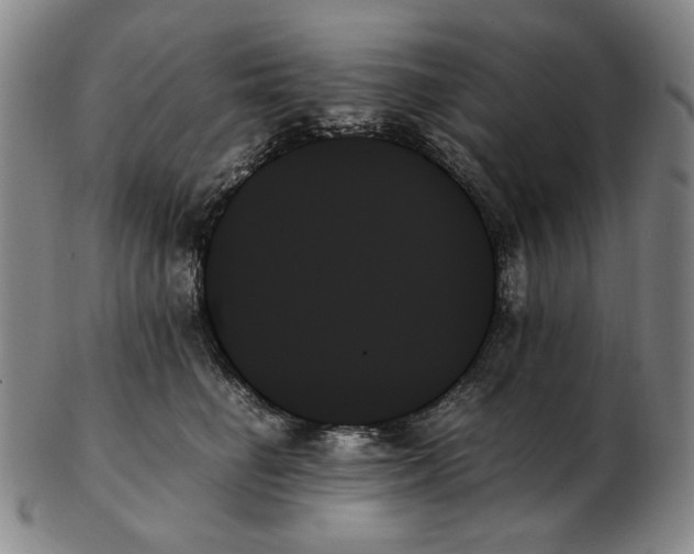 X0000103130662200809121733