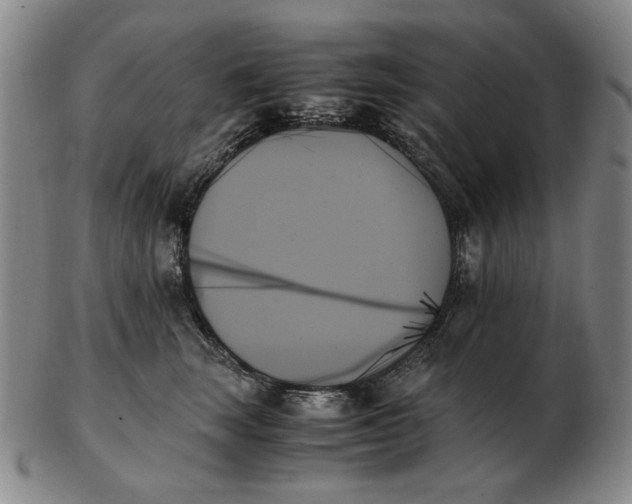 X0000103130663200809121733
