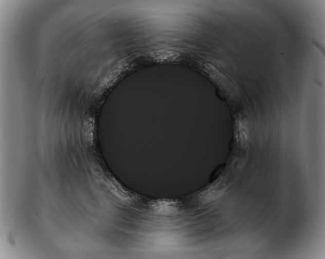 X0000103130664200809121733