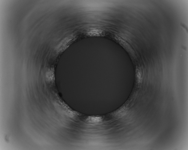X0000103130665200809121733