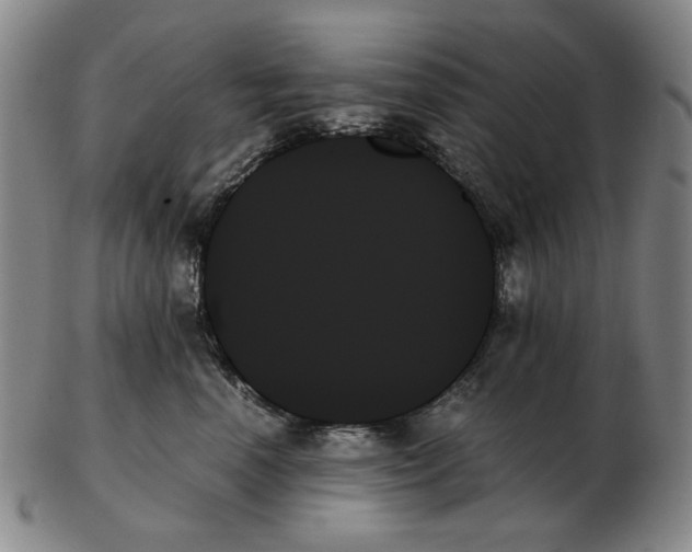 X0000103130666200809121733