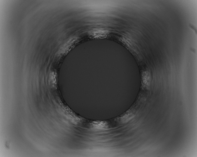 X0000103130667200809121733