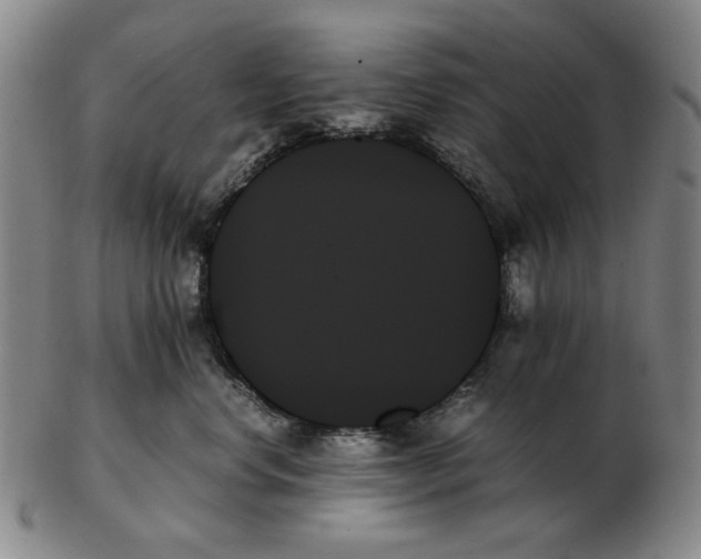 X0000103130668200809121733