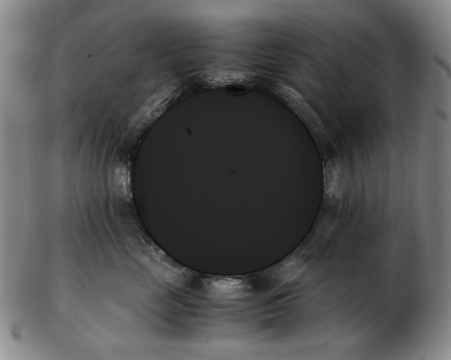 X0000103130669200809121733
