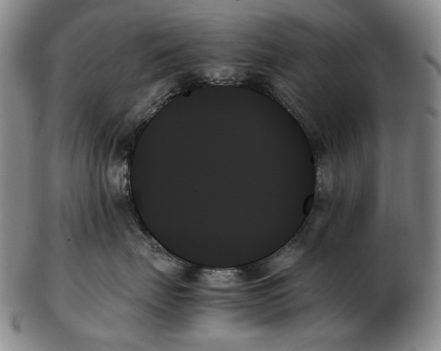 X0000103130671200809121733