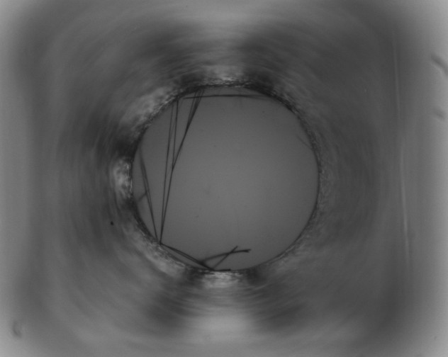 X0000103130672200809121733