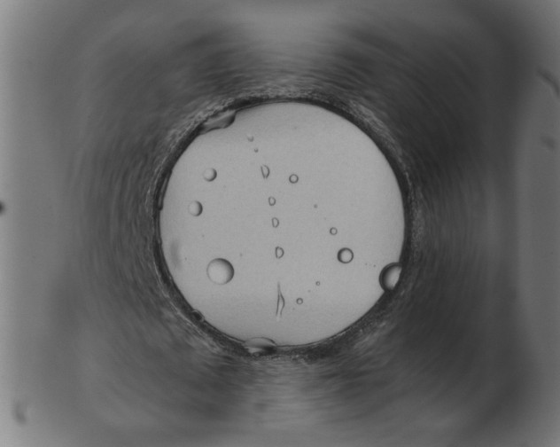X0000103130673200809121732