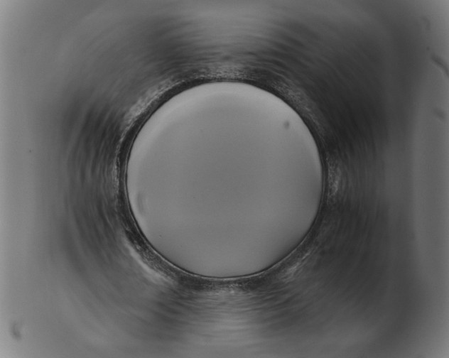 X0000103130674200809121732