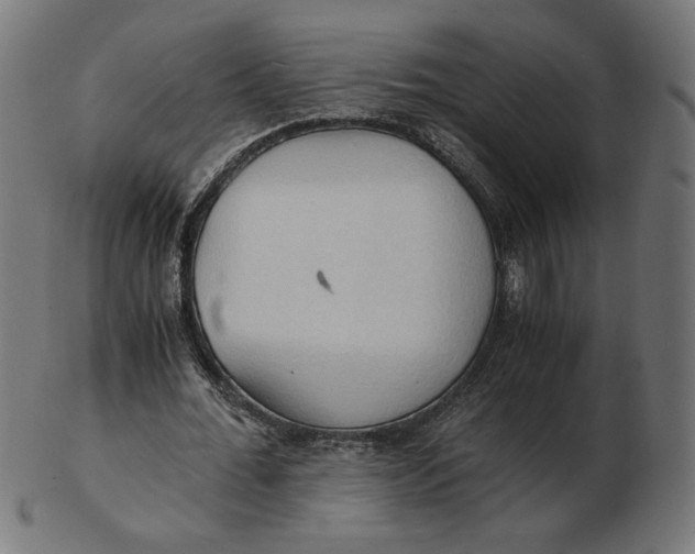 X0000103130676200809121732