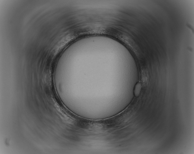 X0000103130677200809121732