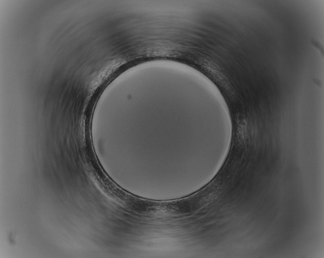 X0000103130678200809121732