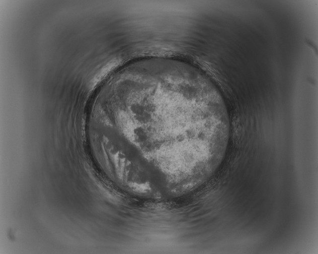 X0000103130679200809121732