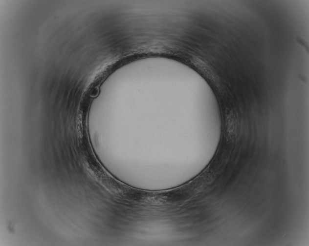 X0000103130680200809121732