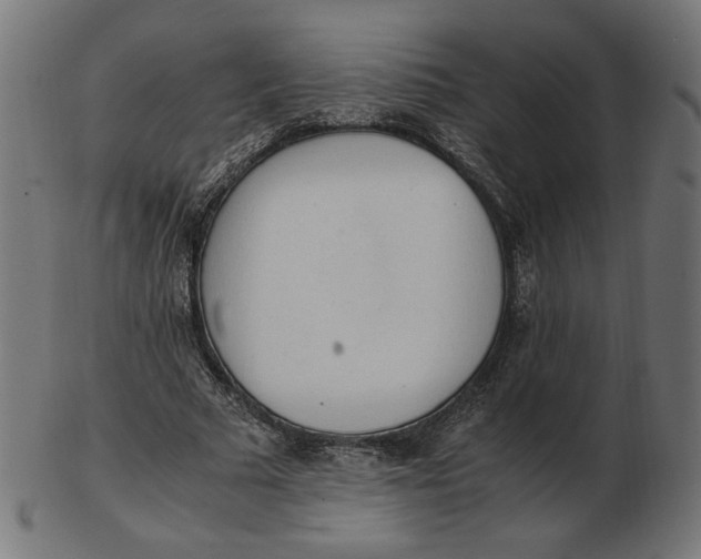 X0000103130681200809121732