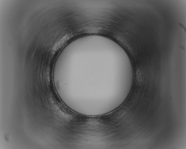 X0000103130682200809121732