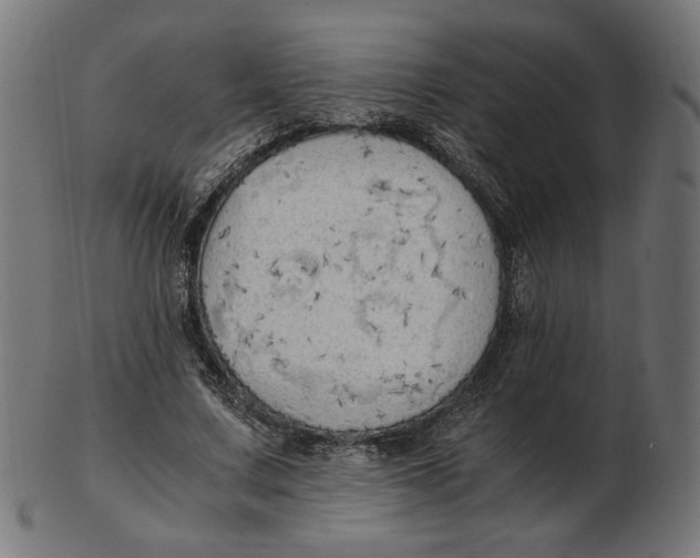 X0000103130683200809121732