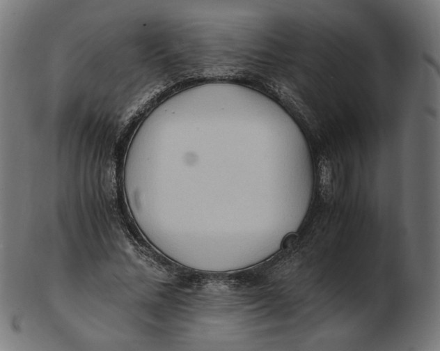 X0000103130684200809121732
