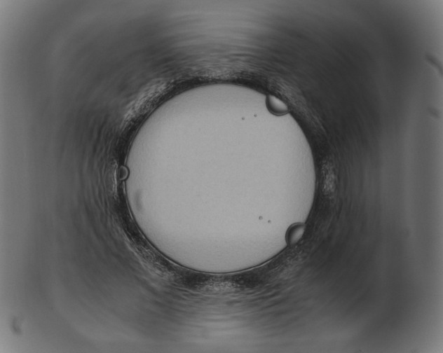 X0000103130685200809121732
