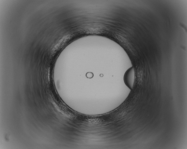 X0000103130686200809121732