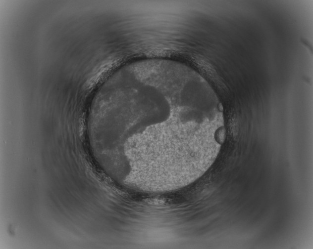 X0000103130687200809121732