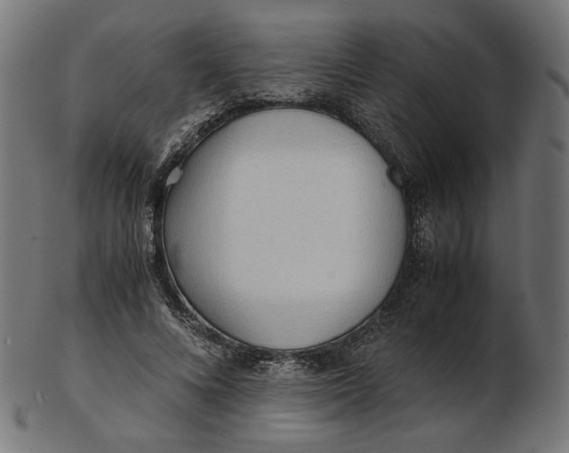 X0000103130688200809121732