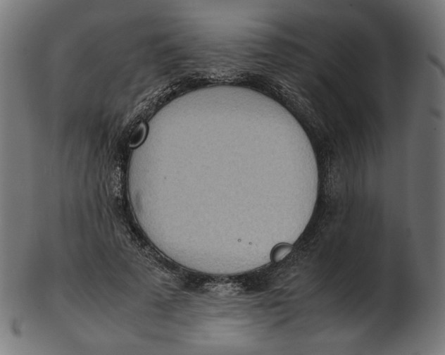 X0000103130689200809121732
